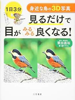 3Dフラワーズ : 目が良くなる!目から癒される!誰でも見える! 東京・巣鴨・手作り照明】お花をキュートにライトアップ！3D